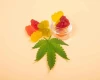 cbd-gummies-for-sleep.webp