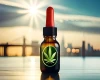 cbd-in-uk-blog.webp