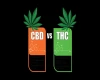 cbd-lion-what-is-cbd.webp