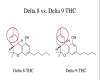 difference-delta8-thc-and-delta9-thc.webp